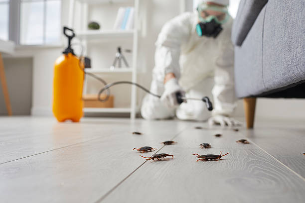 Commercial Kitchen Cockroach Control in Erwinville